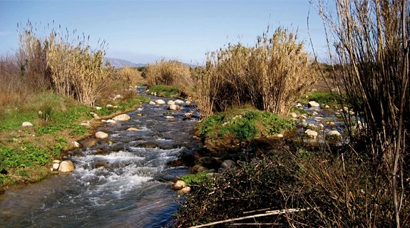 Acciónatura